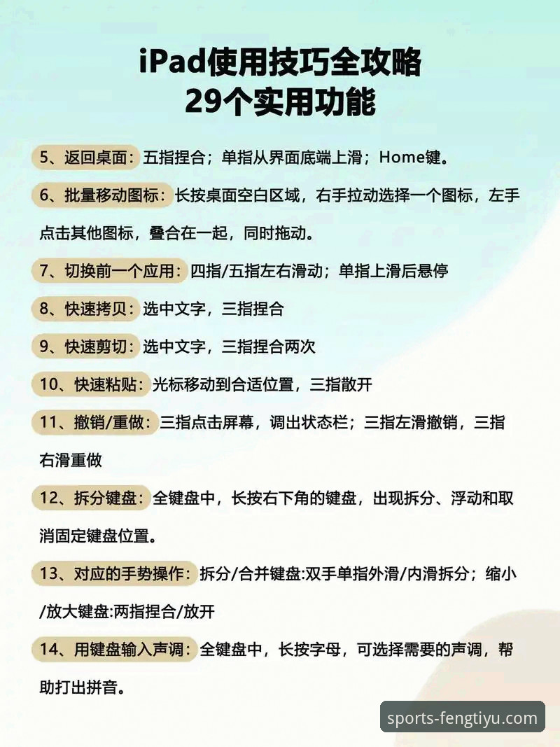 凤凰体育平台电脑版实用指南：从下载到问题解决，一步到位